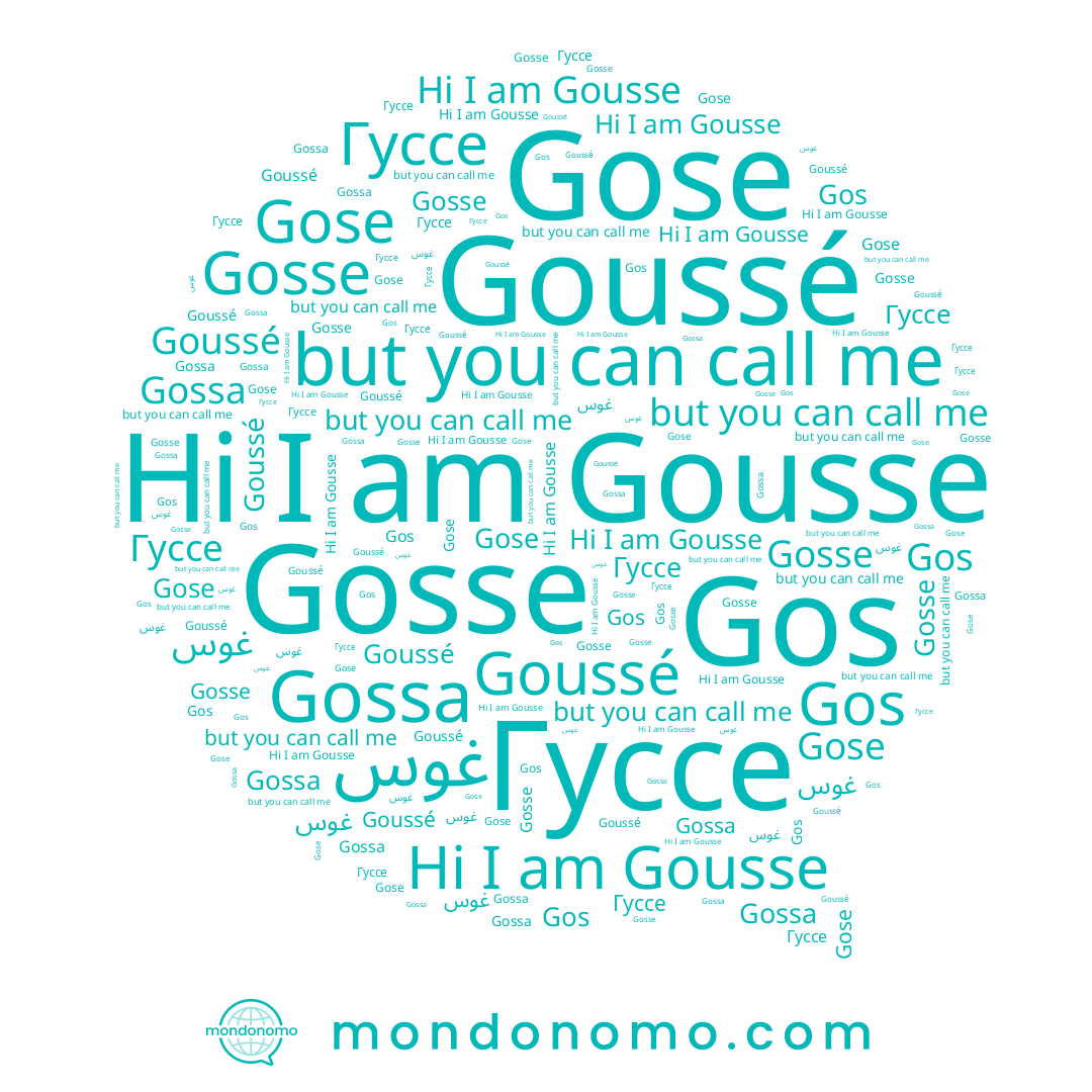 name Goussé, name Гуссе, name Gousse, name Gose, name Gossa, name Gosse, name Gos