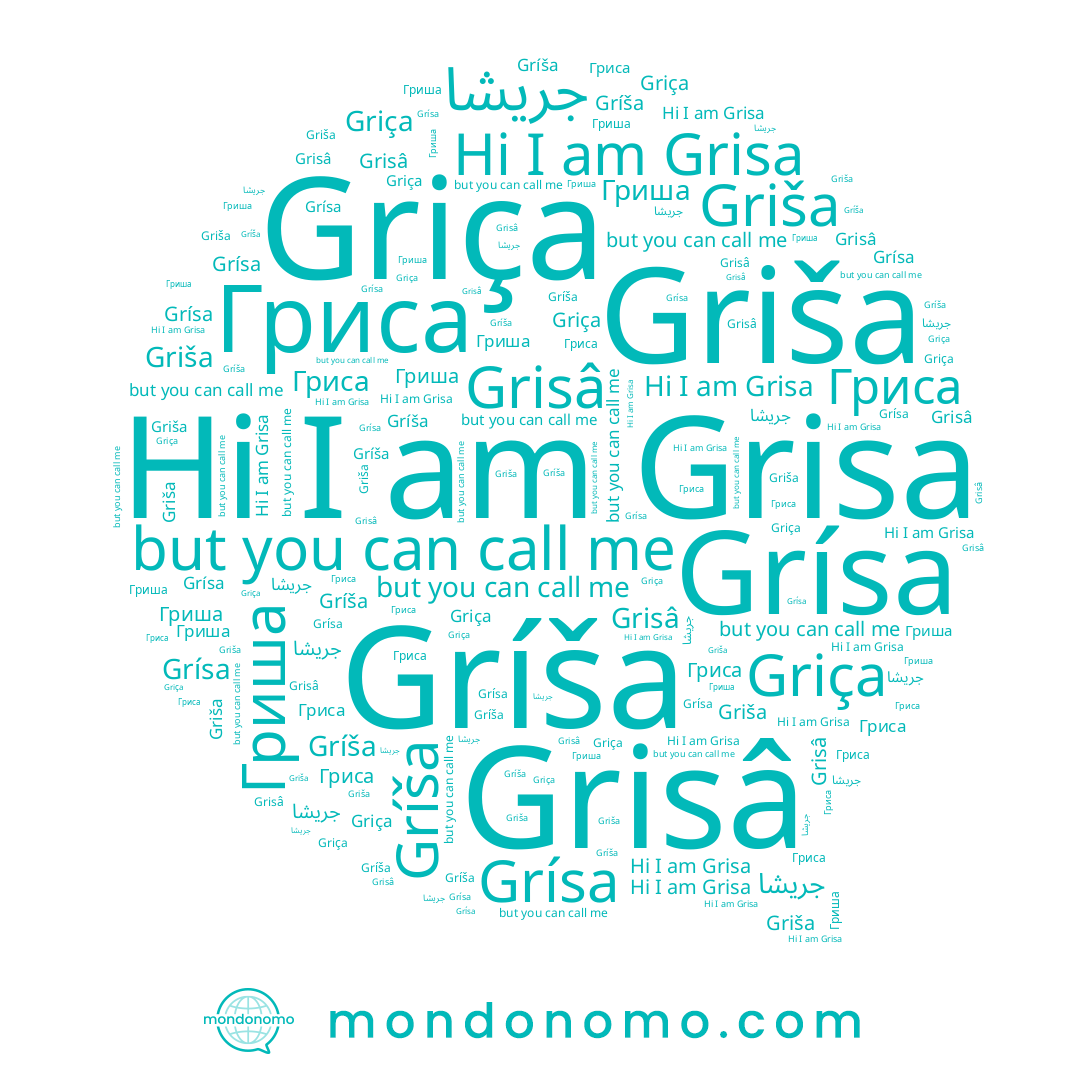 name Гриша, name Гриса, name Grísa, name Griša, name Griça, name Grisâ, name Gríša, name Grisa