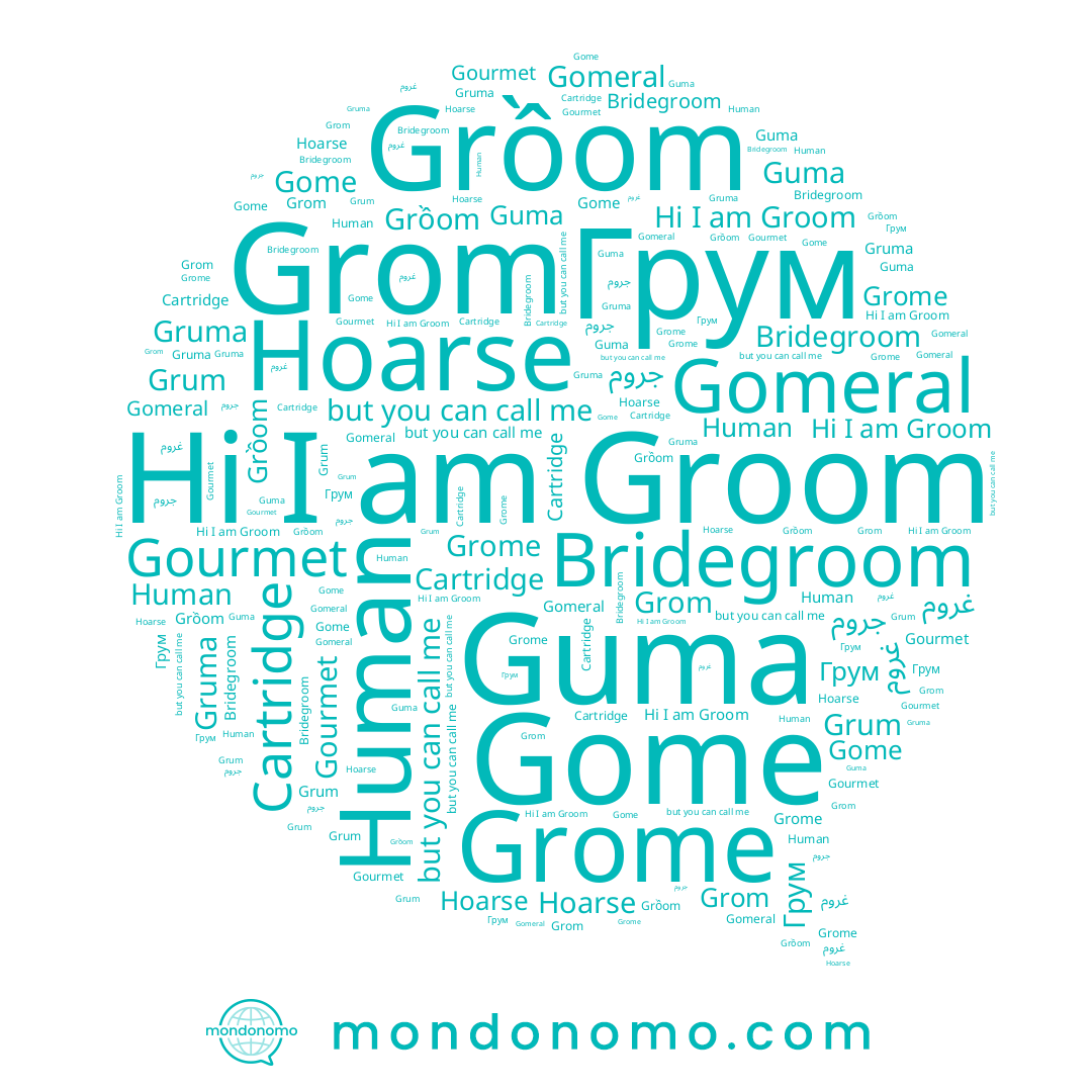 name Grum, name Guma, name Грум, name Grom, name Grome, name غروم, name Bridegroom, name Human, name Gome, name Hoarse, name جروم, name Grồom, name Gomeral, name Groom