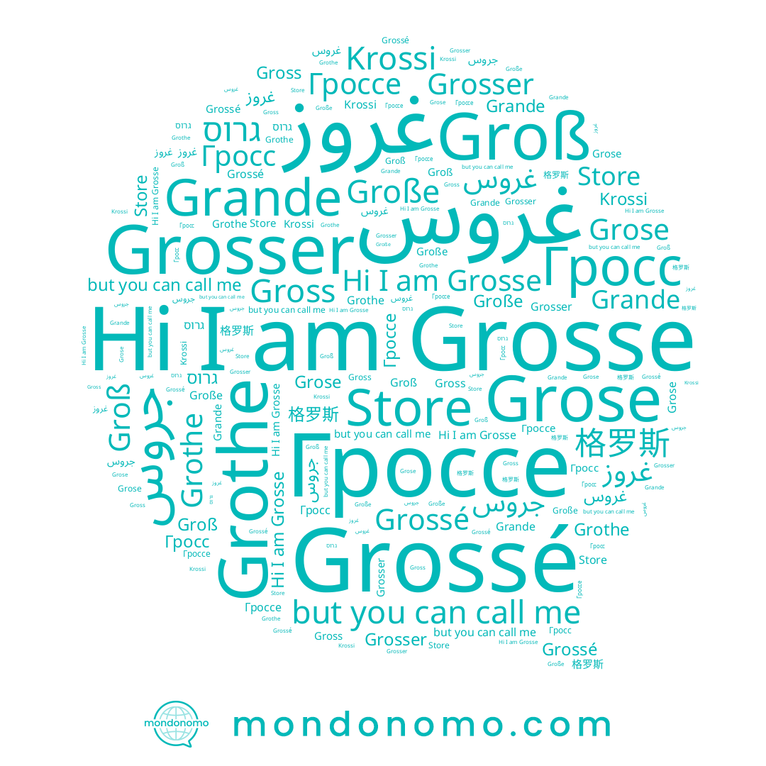 name Gross, name Grossé, name Grose, name Grothe, name Store, name Grosse, name غروس, name Grande, name גרוס, name Grosser, name Krossi, name جروس, name غروز, name Гроссе, name Große, name Гросс, name 格罗斯, name Groß