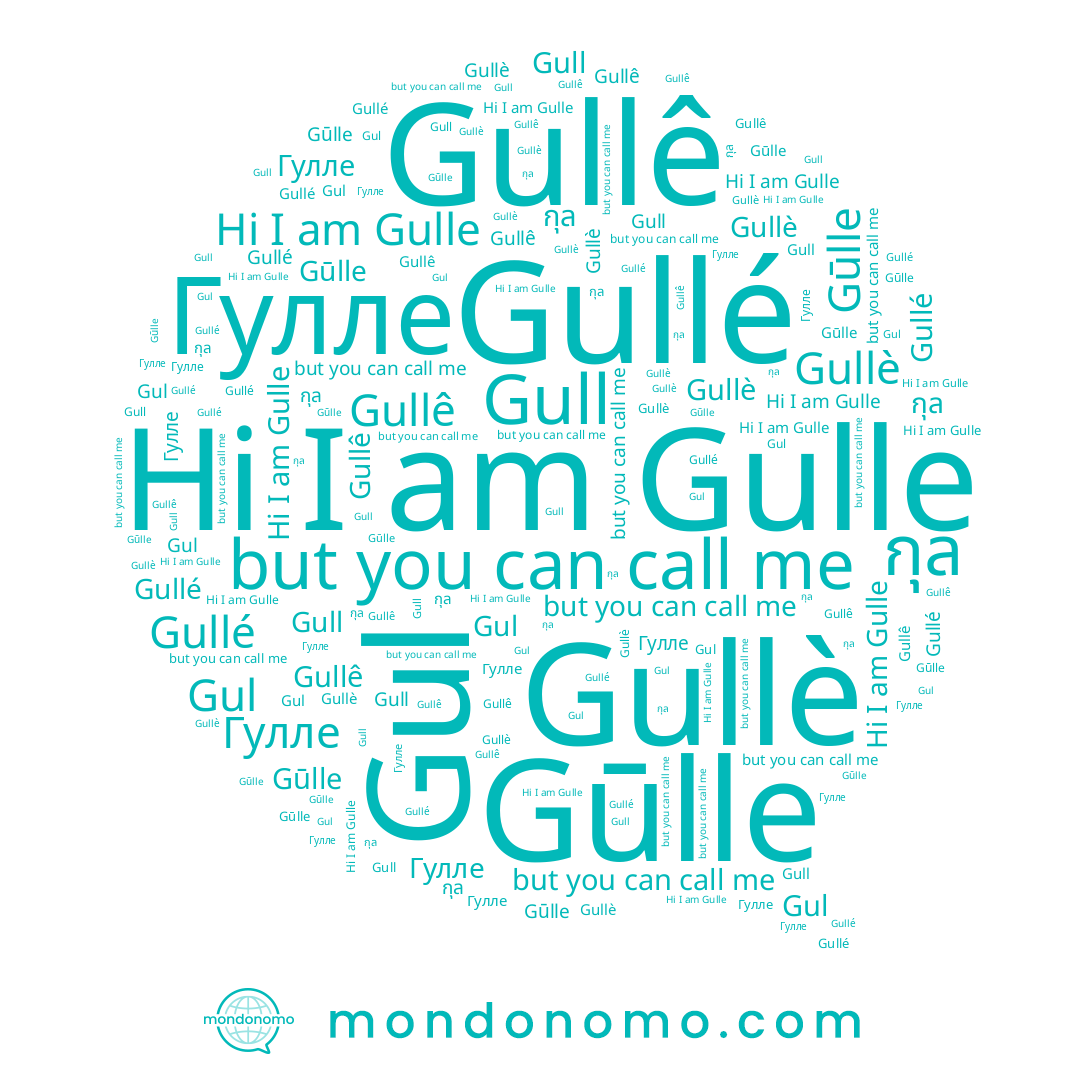 name Гулле, name Gull, name Gulle, name Gul, name Gullé, name กุล, name Gullè, name Gullê, name Gūlle