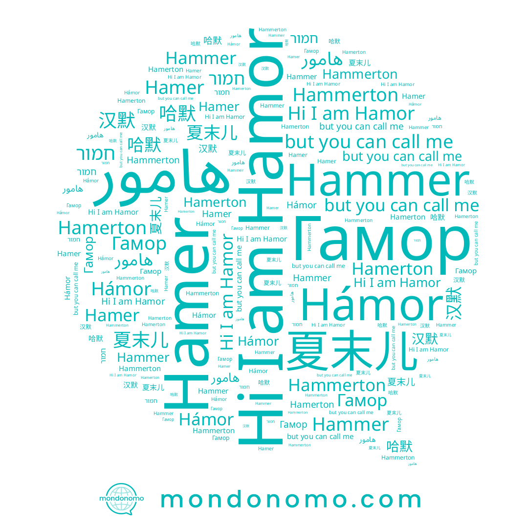 name 夏末儿, name 汉默, name هامور, name Гамор, name Hammer, name Hammerton, name חמור, name Hamerton, name Hamer, name Hamor