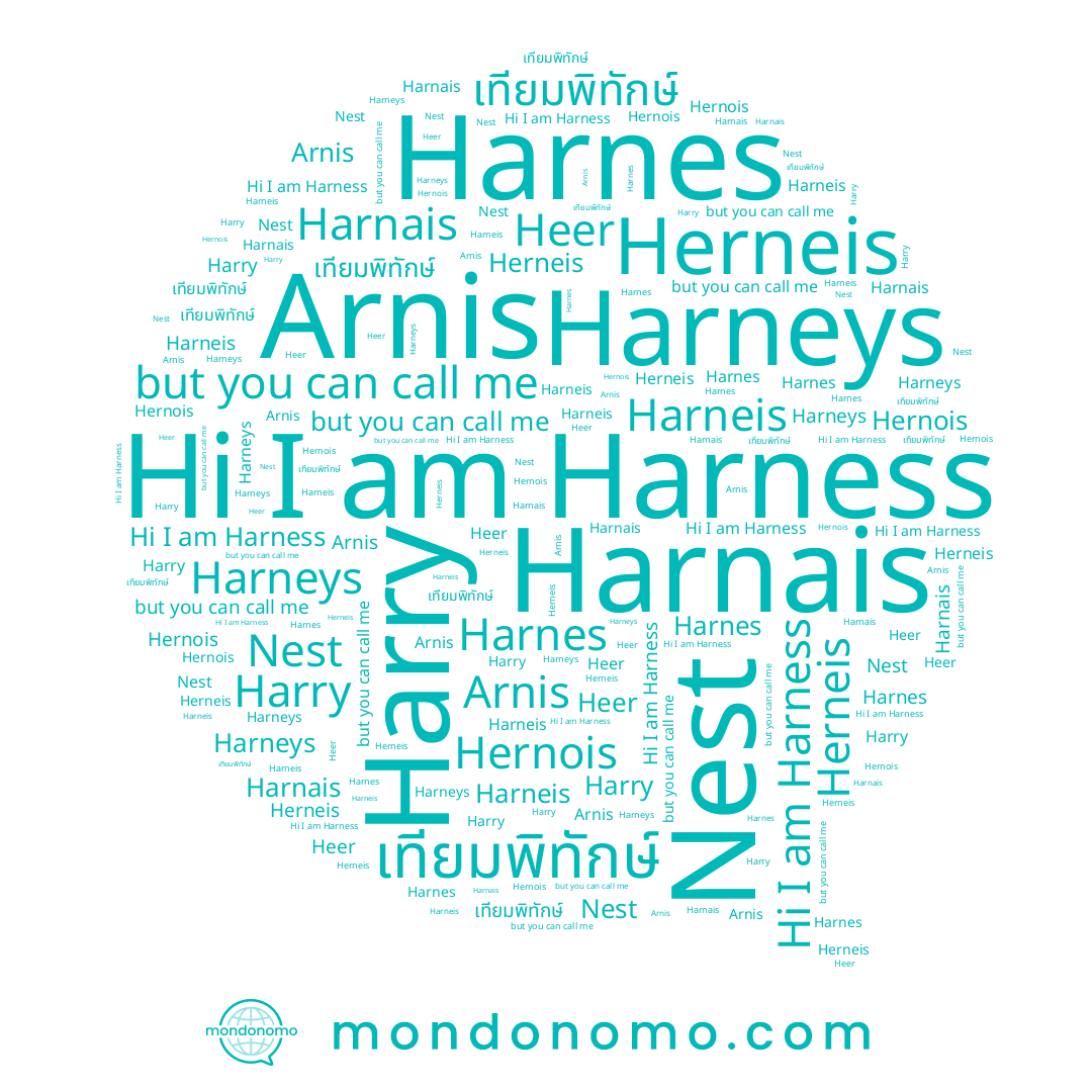name Herneis, name Arnis, name Harnais, name Harness, name Harry, name Hernois, name เทียมพิทักษ์, name Harnes, name Nest, name Heer