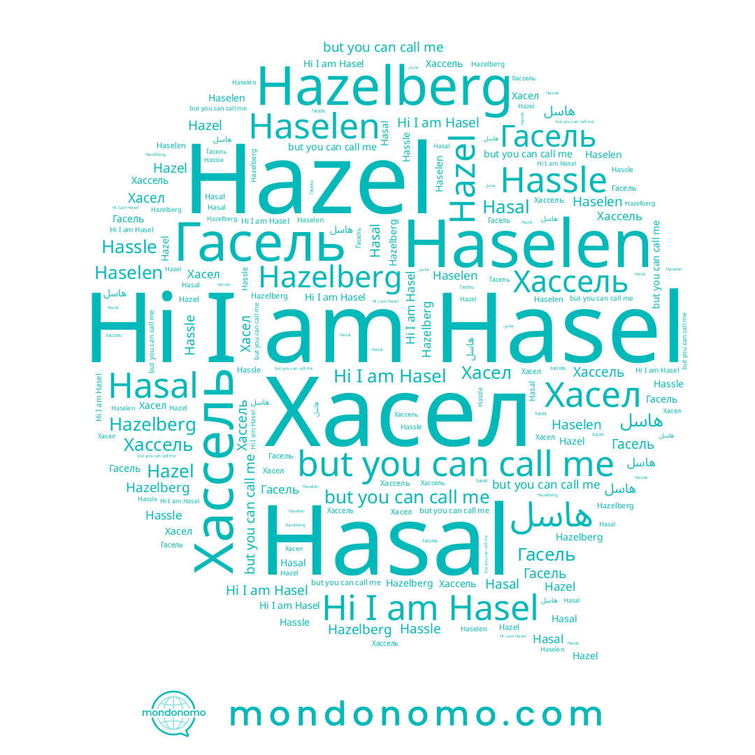 name Hasal, name Hazel, name Хасел, name Hazelberg, name Hasel, name Haselen, name Hassle, name Гасель