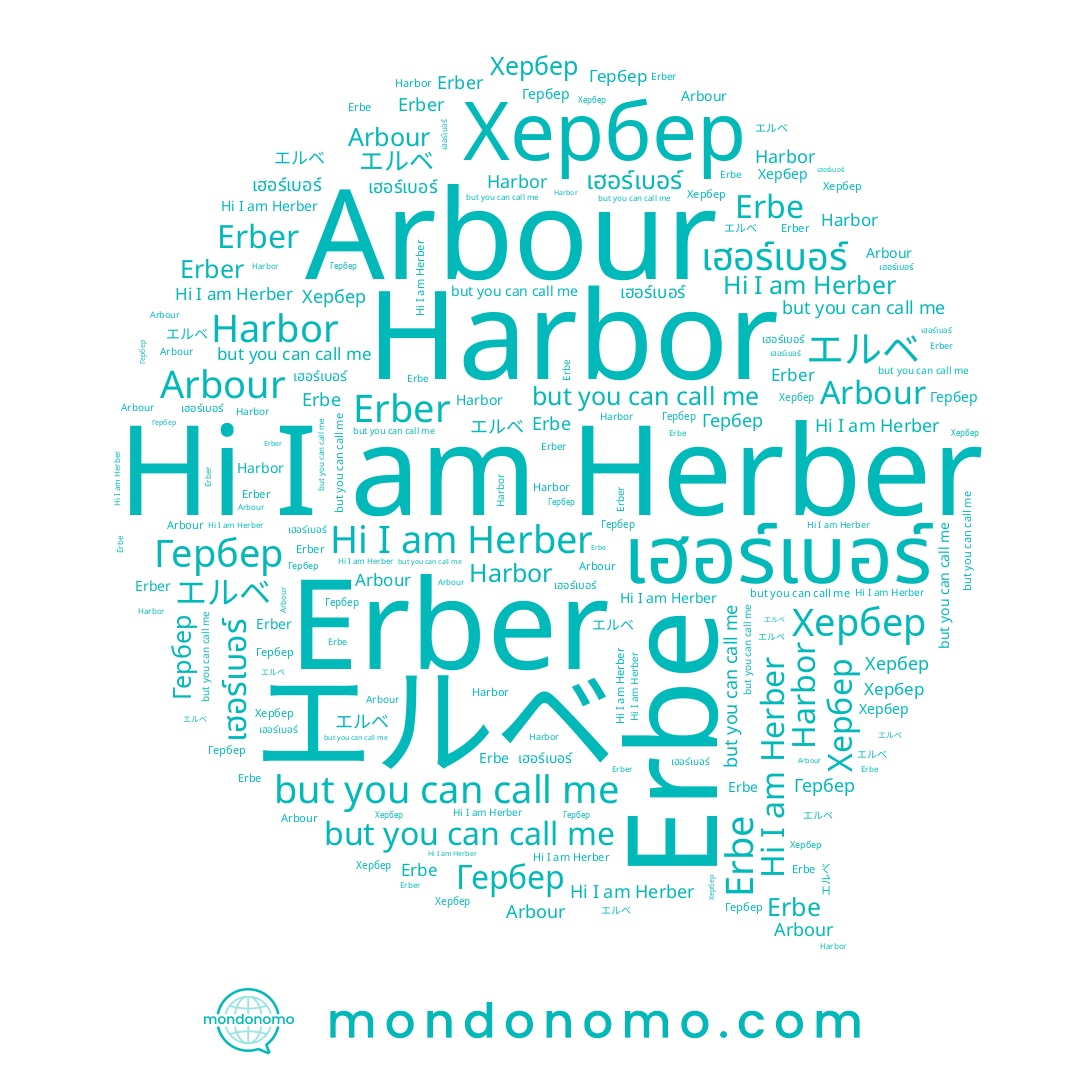 name Erbe, name Arbour, name เฮอร์เบอร์, name Хербер, name Гербер, name Harbor, name Erber, name Herber, name エルベ