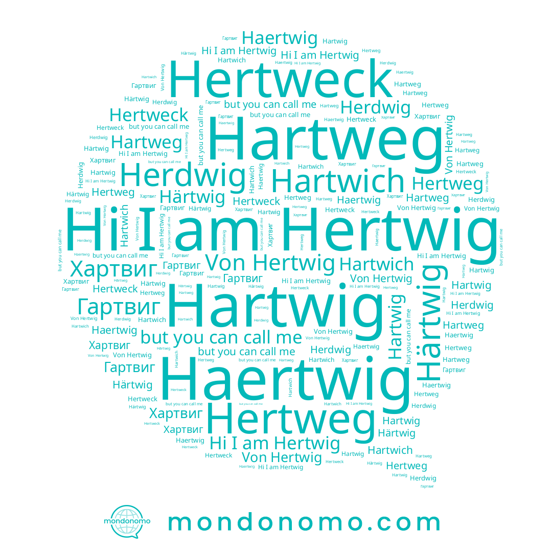 name Hartwig, name Hartwich, name Hertweg, name Хартвиг, name Herdwig, name Haertwig, name Hertwig, name Hertweck, name Härtwig, name Hartweg, name Гартвиг