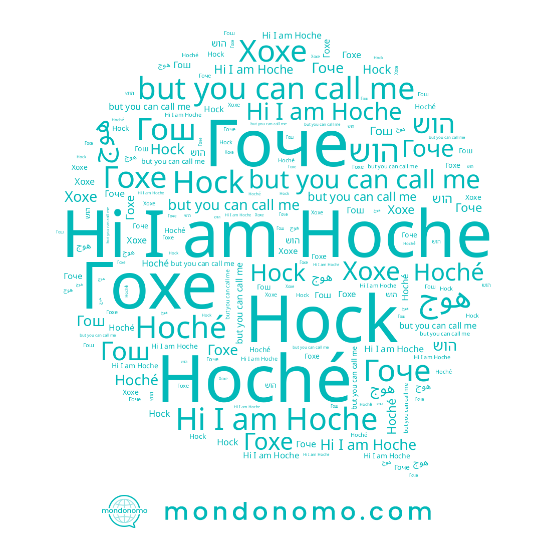 name Hoche, name Hock, name هوج, name Гохе, name Гоче, name Гош, name הוש, name Hoché, name Хохе