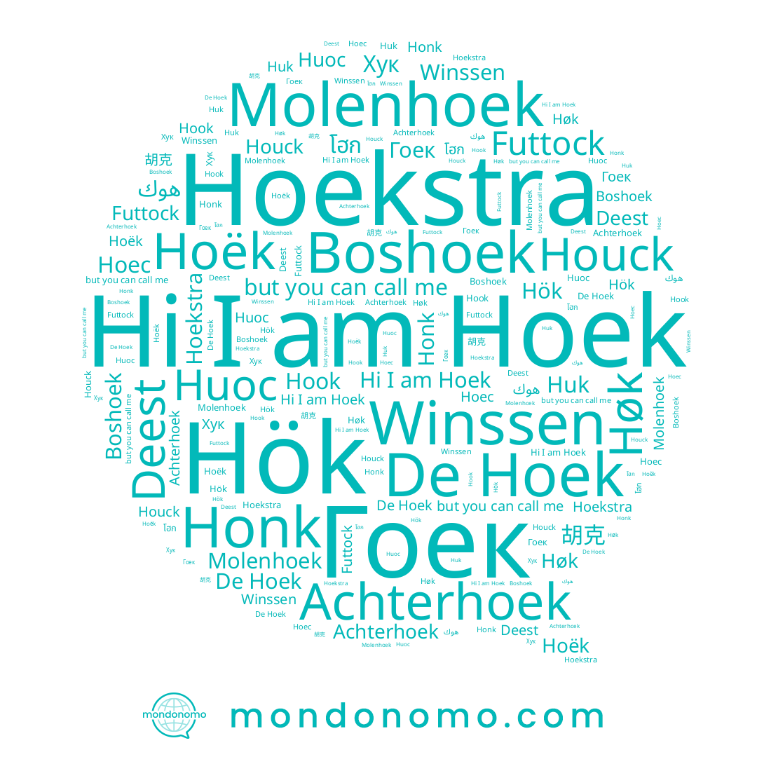 name Hoec, name Houck, name 胡克, name Futtock, name Hoek, name هوك, name Achterhoek, name Хук, name Høk, name โฮก, name Hoekstra, name Гоек, name Hök, name Honk, name Hook, name Hoëk, name Winssen, name Huoc, name Huk, name Deest