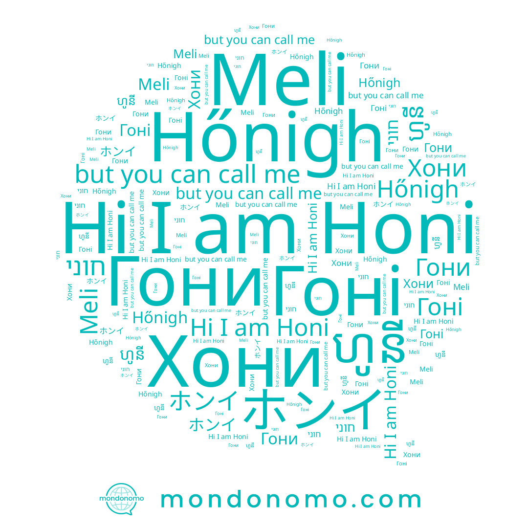 name ホンイ, name Гони, name Хони, name חוני, name Honi, name ហូនី, name Гоні, name Hőnigh, name Meli