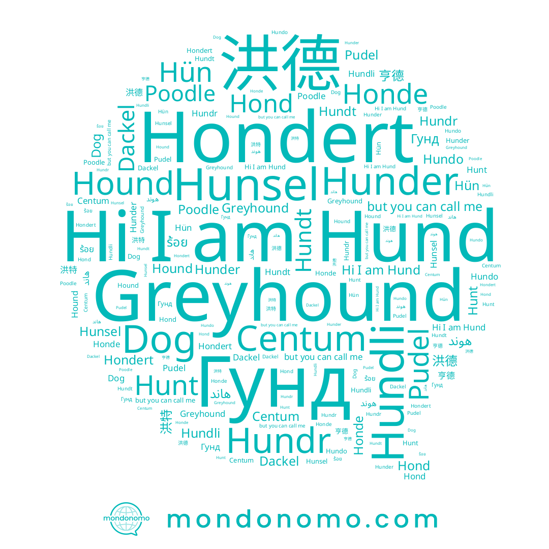 name Гунд, name هاند, name Dackel, name Hunsel, name Hund, name 洪德, name Hond, name Honde, name Hunt, name Hunder, name Hundt, name Hün, name Hundli, name Hondert, name Hundo, name هوند, name 洪特, name Hundr, name Pudel, name 亨德