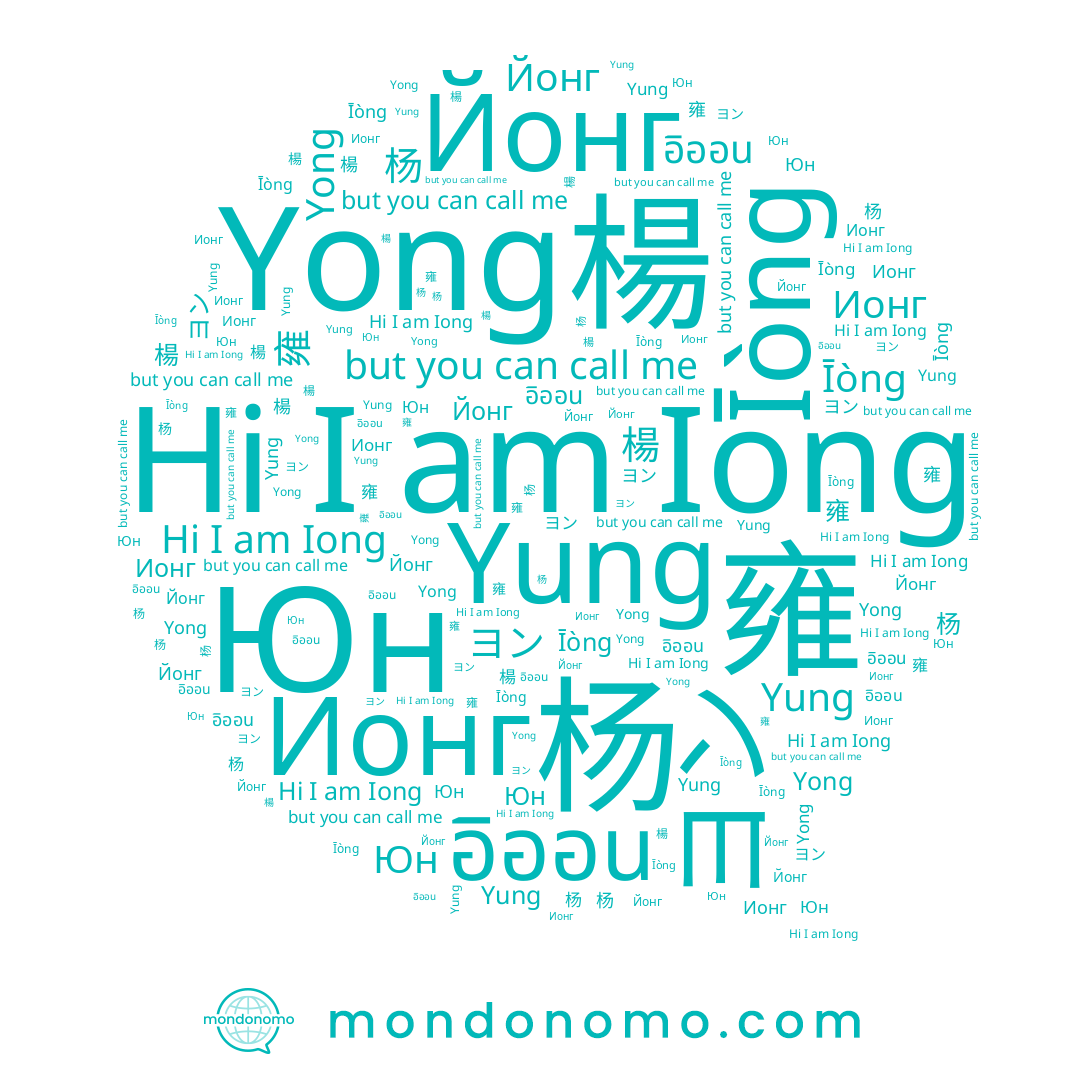 name Юн, name 杨, name 雍, name Iong, name Йонг, name อิออน, name Īònɡ, name Ионг, name Yung, name يونغ, name Yong, name ヨン, name 楊
