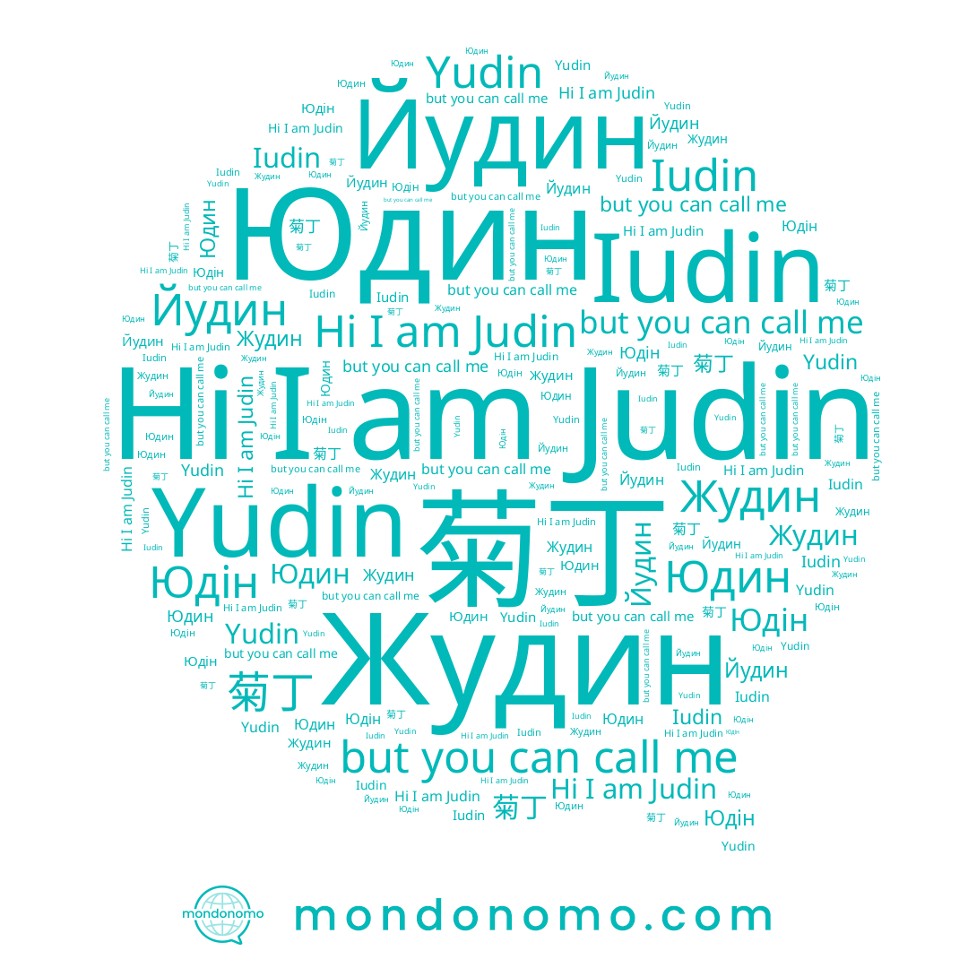 name Юдін, name Йудин, name 菊丁, name Yudin, name Iudin, name Judin, name Жудин, name Юдин