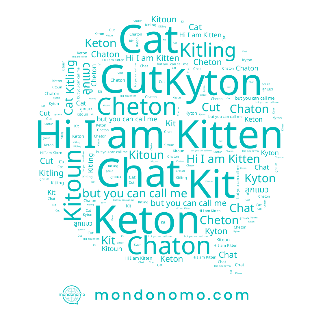 name Keton, name Chat, name Cat, name Kit, name Cheton, name Kitoun, name Chaton, name Kitten, name ลูกแมว, name Kitling, name Kyton