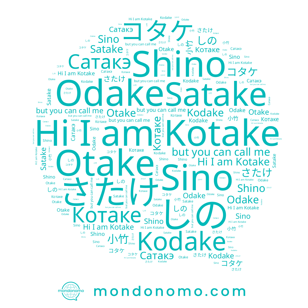 name 小竹, name Kodake, name コタケ, name Sino, name しの, name Odake, name Shino, name Satake, name Kotake, name Сатакэ, name Otake, name さたけ