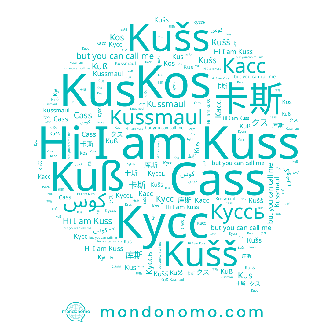 name Kuß, name Cass, name クス, name Касс, name Kuss, name 库斯, name Кусс, name Куссь, name Kušs, name Kus, name 卡斯, name Kussmaul, name Kos, name Kušš