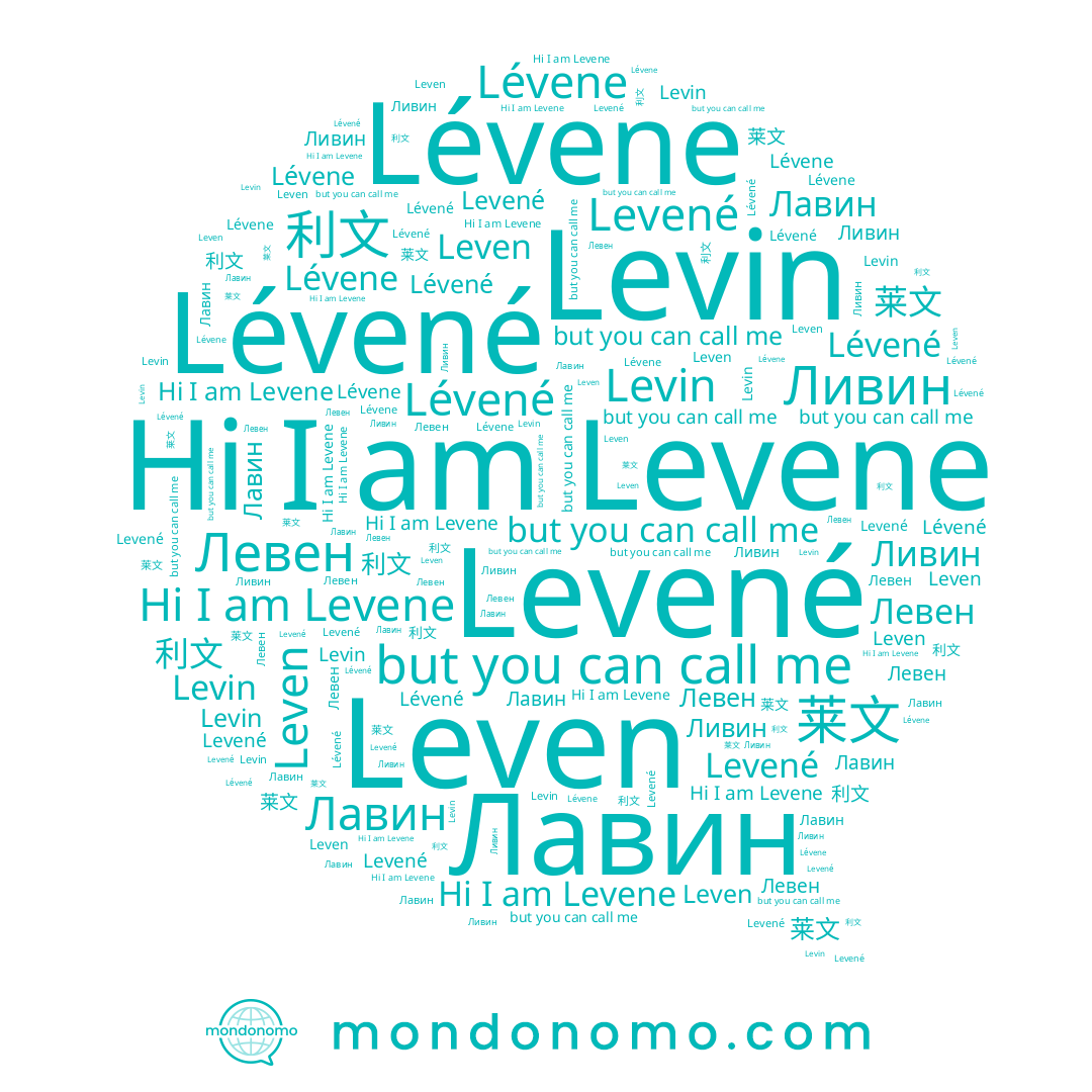 name Levené, name Lévené, name Leven, name Ливин, name 利文, name 莱文, name Левен, name Lévene, name Levene, name Levin