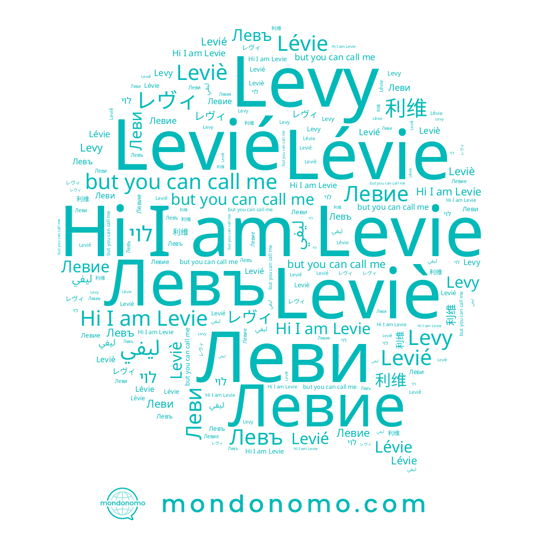 name Леви, name Levie, name Левие, name Lévie, name Левъ, name ليفي, name レヴィ, name לוי, name Levié, name Levy, name Leviè, name 利维