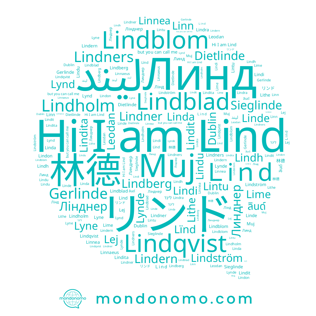 name Lime, name Linda, name Lindra, name Lindita, name Lïnd, name Dietlinde, name Lindberg, name Lindholm, name Ｌiｎd, name Lej, name Linde, name Линднер, name リンド, name Линд, name ليند, name Lindners, name Linnea, name Lindi, name Lynd, name Lindström, name Sieglinde, name Lind, name 林德, name Lindh, name Linnaeus, name Lindner, name Lindu, name Muj, name Lithe, name Lynde, name Lindit, name Lindqvist, name Lindblad, name Лінд, name Leodan, name Dublin, name Lintu, name Лінднер, name Lindblom, name Lindon, name Lyne, name לינד, name ลินด์, name Linn, name Gerlinde