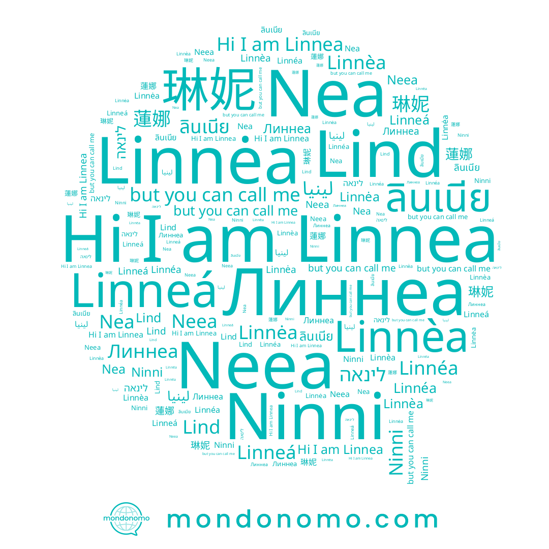 name Linnéa, name Линнеа, name Linnèa, name Neea, name Linnea, name 琳妮, name Ninni, name Nea, name Linnėa, name ลินเนีย, name Lind, name לינאה, name Linneá
