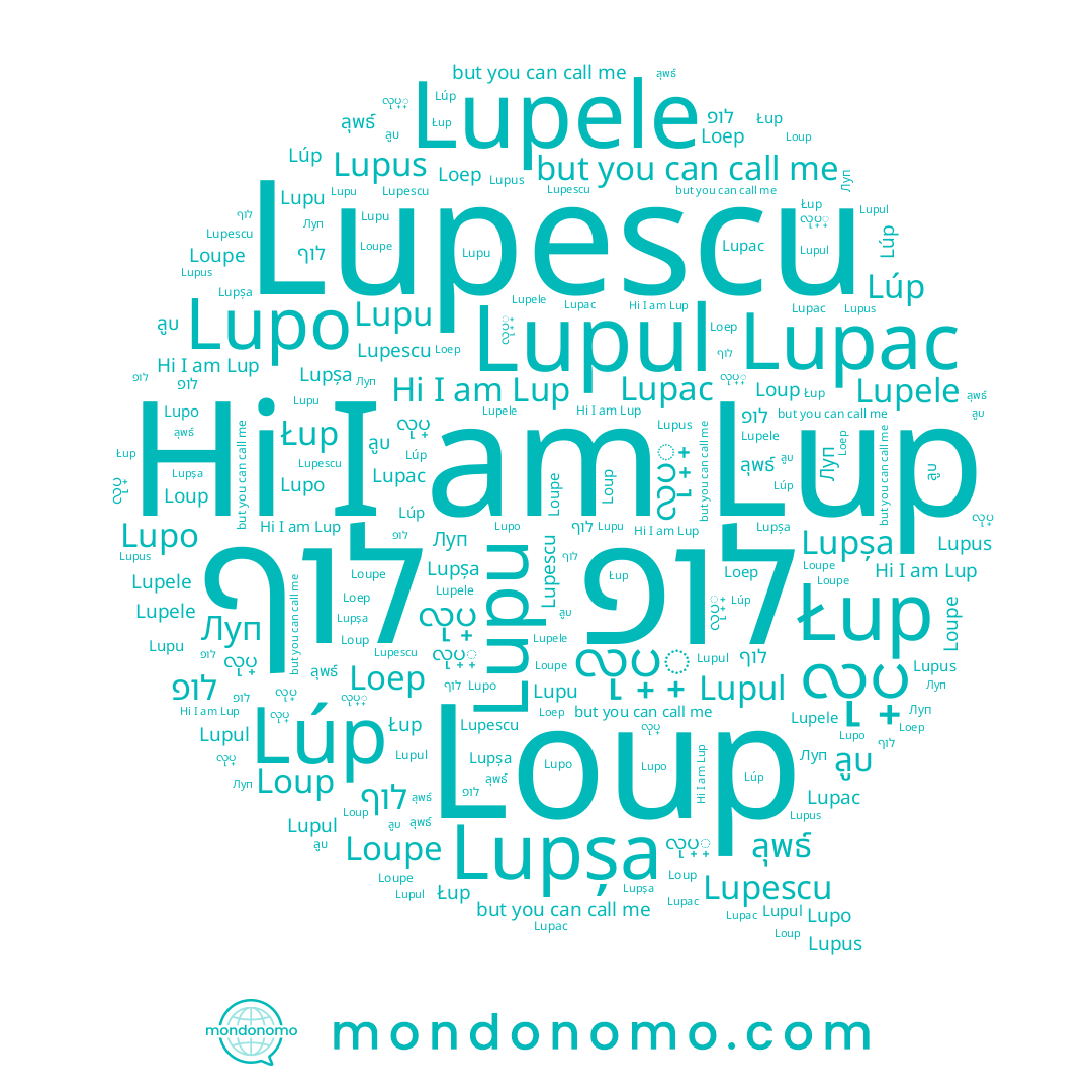 name ลุพธ์, name Loep, name לוף, name Lupescu, name Lup, name Lúp, name Loupe, name Loup, name Lupșa, name Lupus, name Луп, name לופ, name Lupu, name Lupele, name လုပ္္, name Łup, name ลูบ, name Lupo, name Lupac, name လုပ္, name Lupul