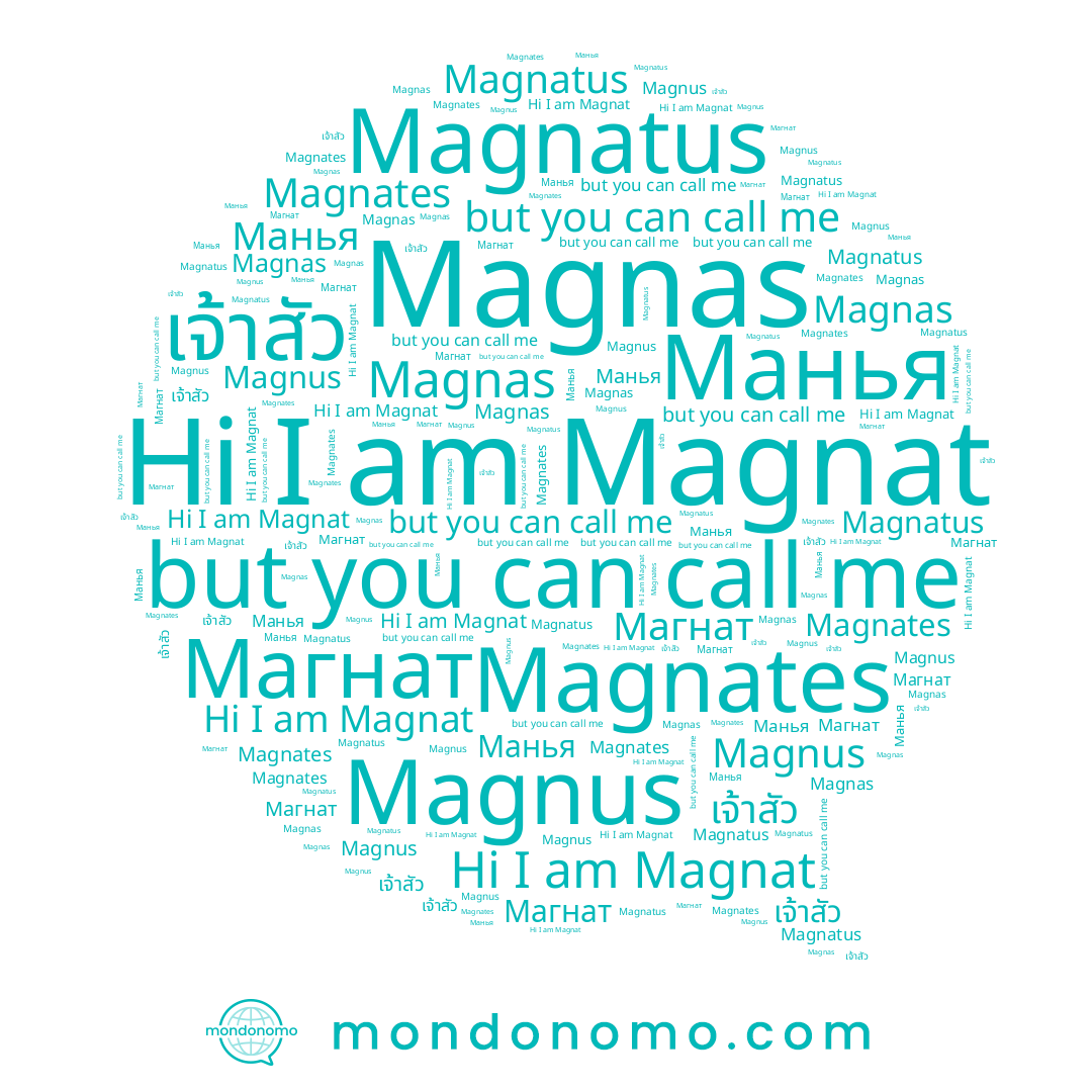 name Magnus, name Magnat, name Манья, name Magnas, name Magnatus, name เจ้าสัว
