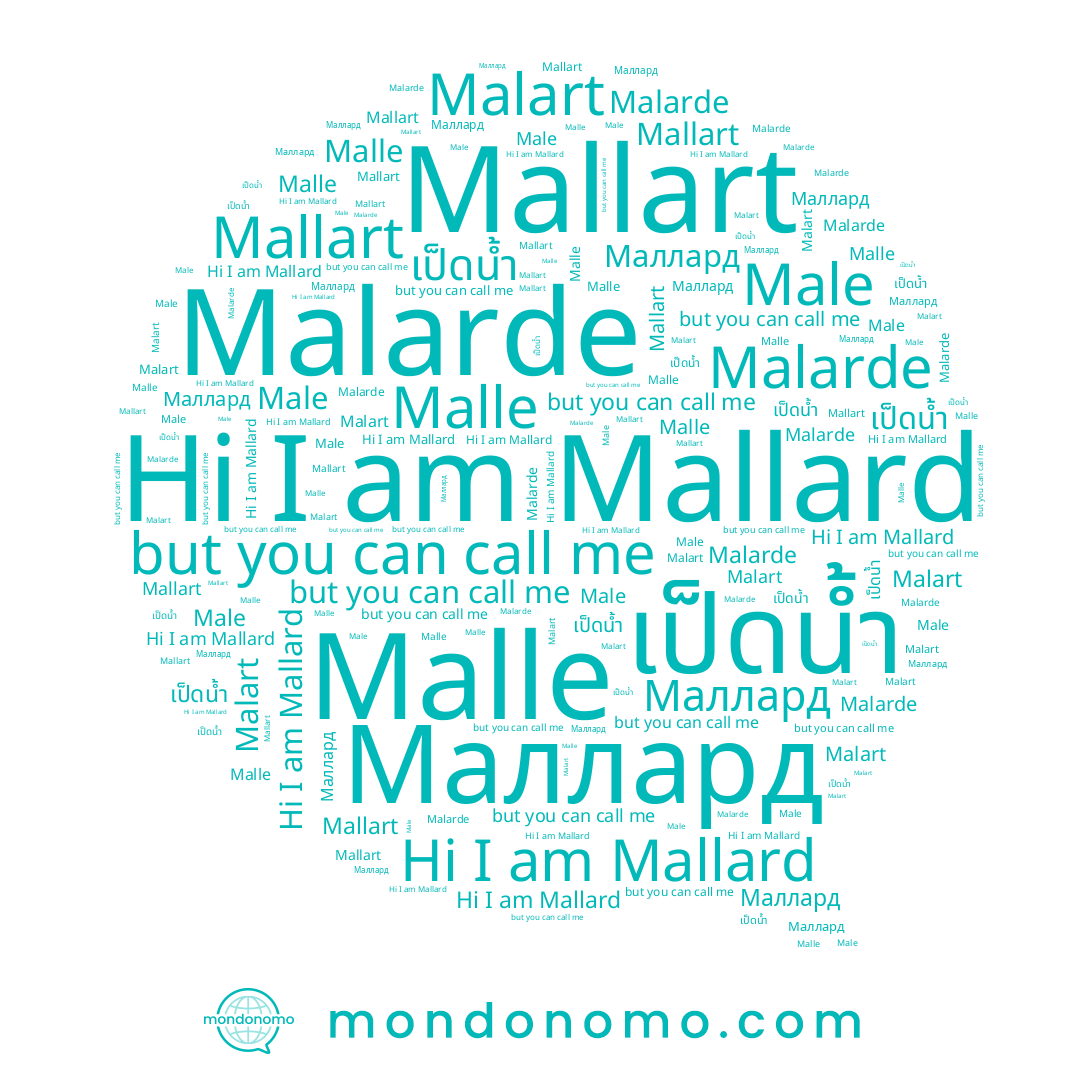 name Malarde, name เป็ดน้ำ, name Mallart, name Male, name Mallard, name Malart, name Malle, name Маллард