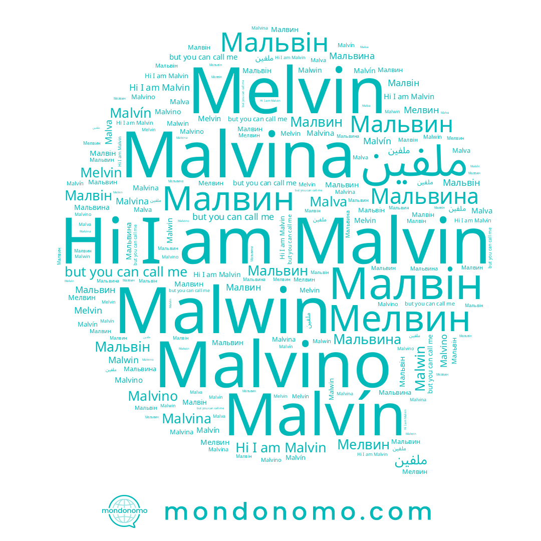 name Мальвин, name Malva, name Melvin, name Мальвін, name Малвин, name Malwin, name Malvín, name Мелвин, name Malvina, name Мальвина, name ملفين, name Malvino, name Malvin, name Малвін