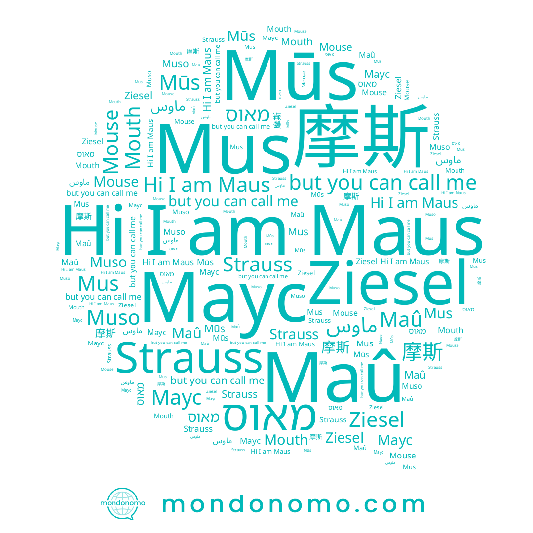 name Muso, name Ziesel, name מאוס, name Mouse, name Maû, name Maus, name 摩斯, name Mus, name ماوس, name Маус, name Mūs, name Strauss