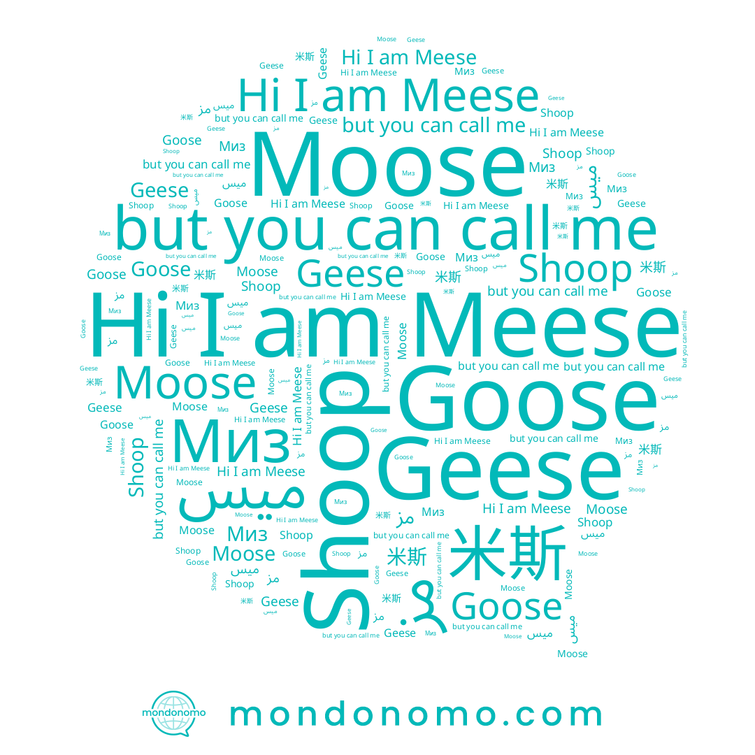 name Shoop, name Миз, name Moose, name ميس, name 米斯, name Meese, name Geese, name مز, name Goose