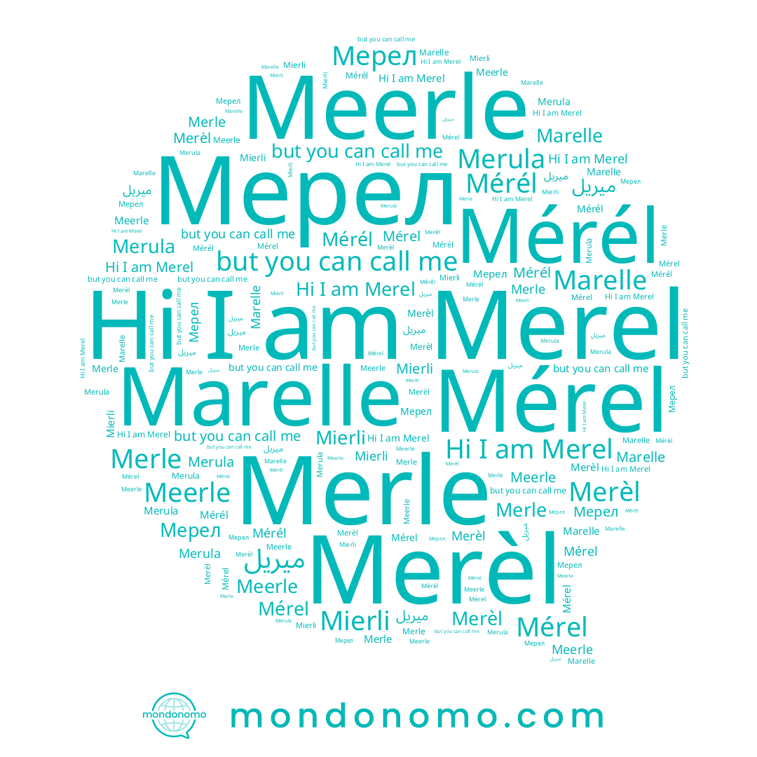name Merle, name Mérél, name ميريل, name Merula, name Meerle, name Merel, name Mérel, name Mierli, name Merèl, name Marelle