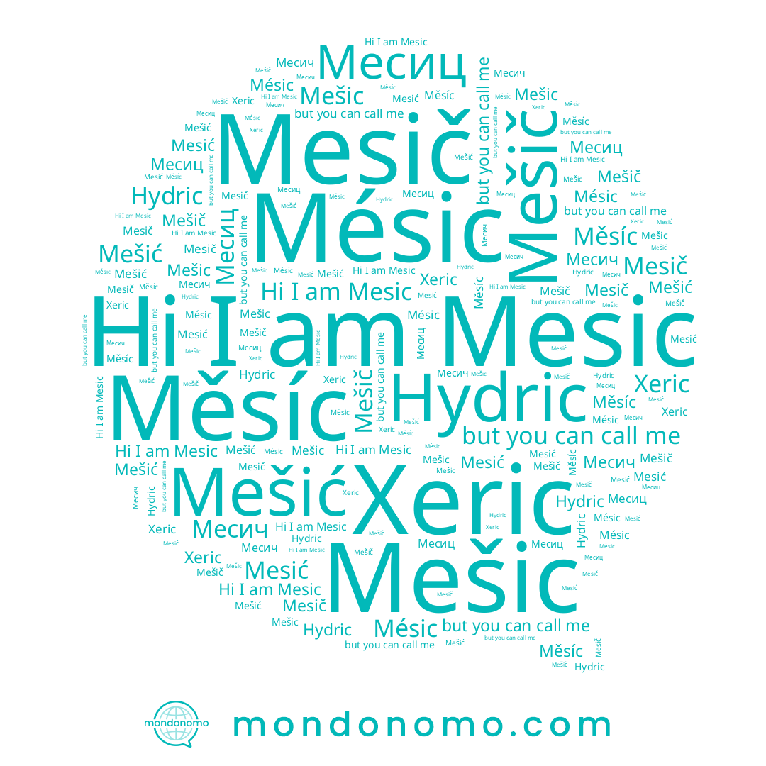 name Mésic, name Месич, name Mešič, name Měsíc, name Mešić, name Mesić, name Месиц, name Mesic, name Mesič, name Mešic