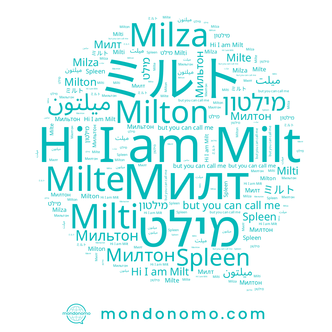 name Milt, name ميلتون, name Spleen, name Милтон, name ミルト, name Milte, name מילט, name Милт, name Milza, name Milton, name מילטון, name ميلت, name Milti, name Мильтон