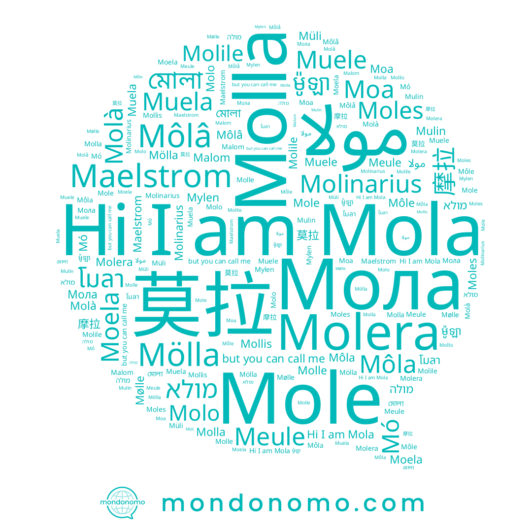 name ម៉ូឡា, name Mó, name Mylen, name Muele, name Mulin, name مولا, name Мола, name Môlâ, name מולה, name Molo, name Moles, name Molle, name Meule, name Moa, name Môla, name মোলা, name Molile, name Môle, name Molinarius, name 摩拉, name Müli, name מולא, name Muela, name 魔搚, name Mollis, name Mole, name Molera, name Moela, name Molà, name Mola, name Molla, name 莫拉, name โมลา, name 尛藞