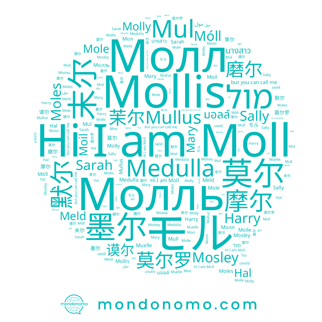 name Moll, name Medulla, name 谟尔, name Sarah, name モル, name Mull, name 莫尔罗, name Moil, name 磨尔, name Mary, name Moles, name Harry, name Molle, name นางสาว, name Molly, name 莫尔, name Hal, name Muelle, name Mosley, name 摩尔, name 末尔, name Молл, name Móll, name مول, name Mullus, name Mole, name 茉尔, name Mollis, name Mul, name 默尔, name 墨尔, name Молль, name Sally