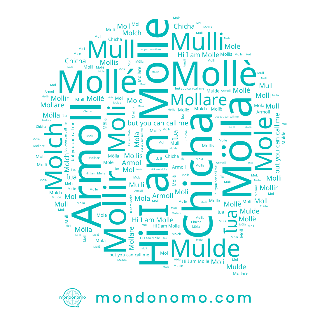 name Moli, name Moll, name Mull, name Mol, name โมล, name Molle, name Mulde, name Mollè, name Mollare, name Chicha, name Molch, name Mollir, name Armoll, name Mulli, name Mollis, name Mole, name Mollé, name Mola, name Molli