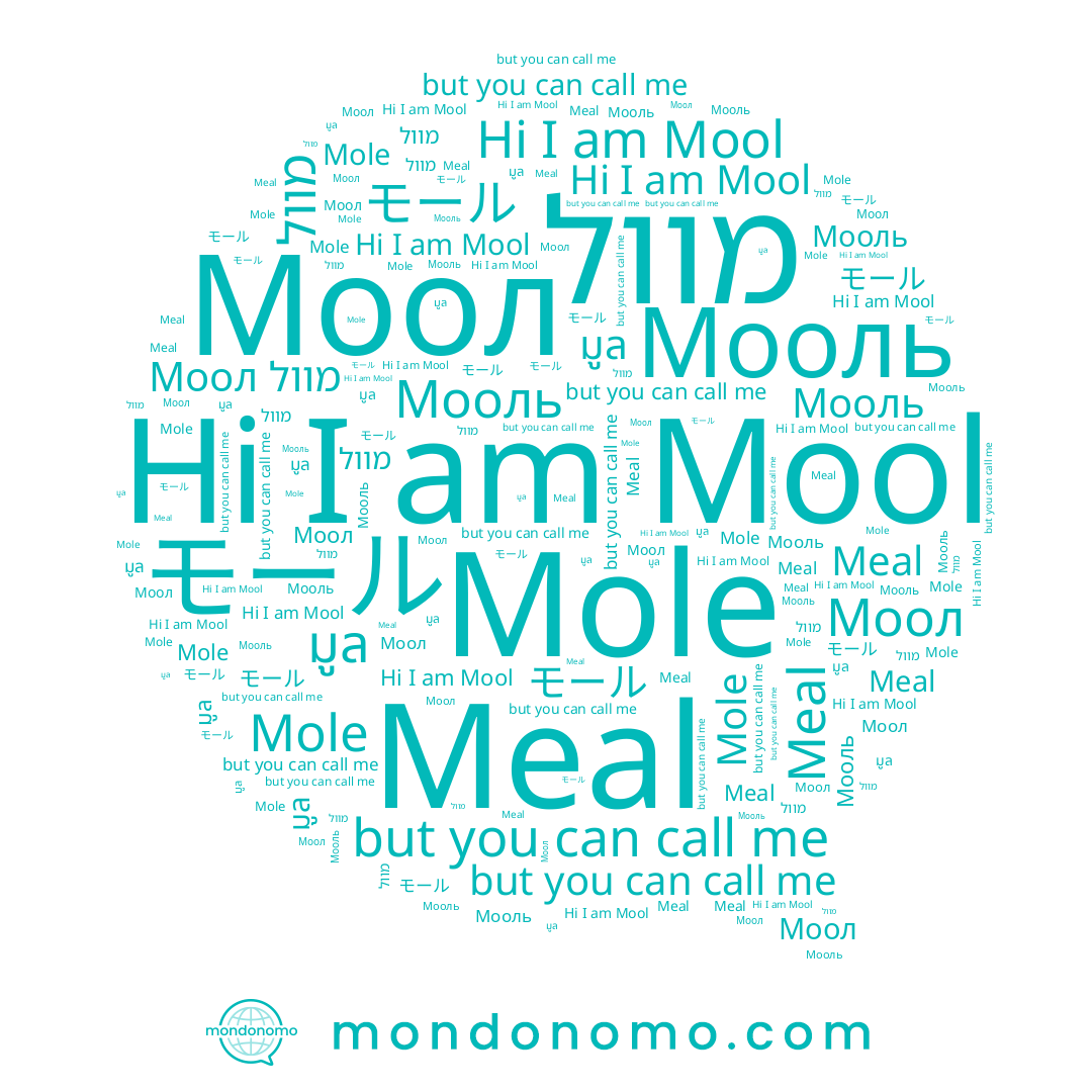 name Mool, name מוול, name モール, name Моол, name มูล, name Мооль, name Mole