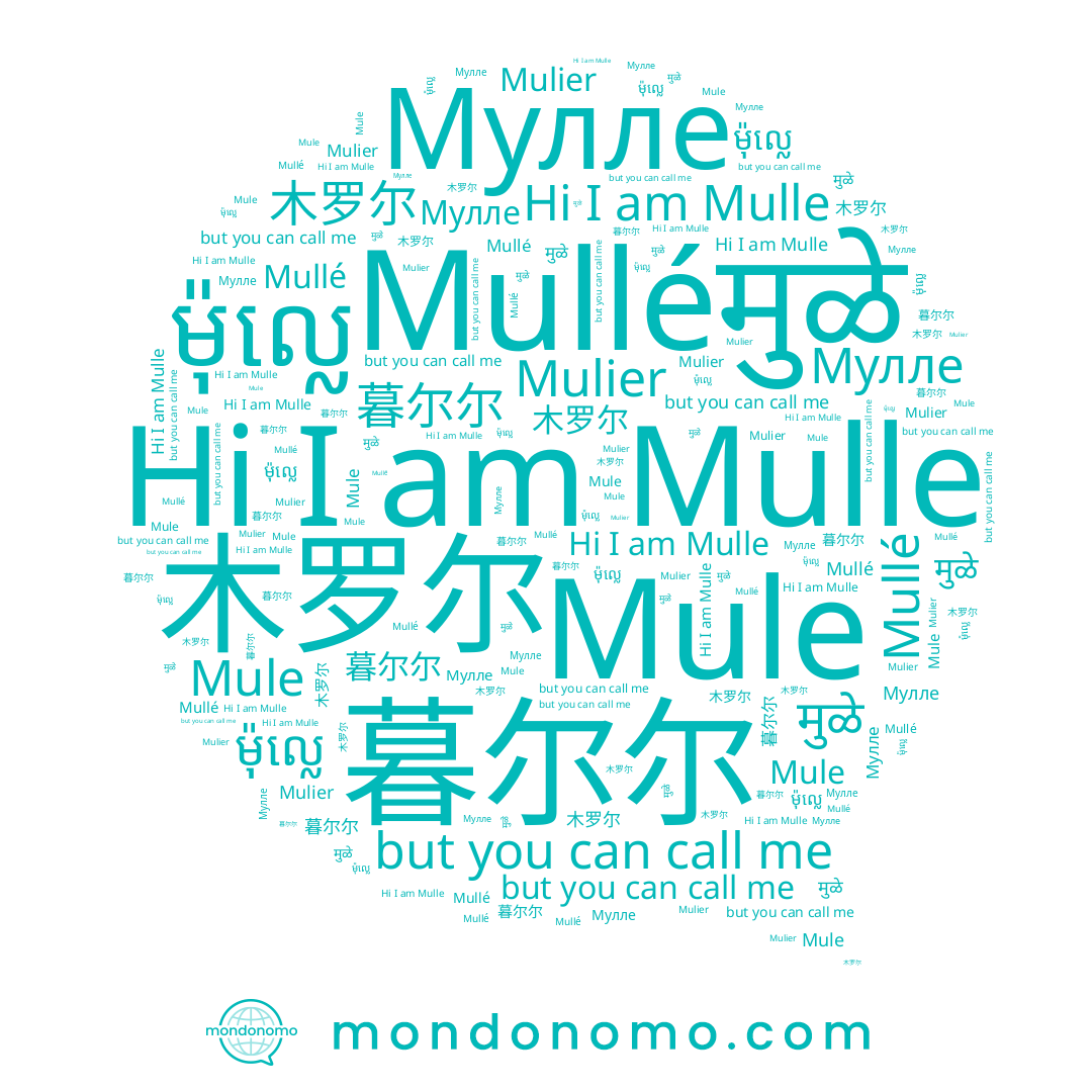 name 木罗尔, name Mule, name Mulier, name Мулле, name मुळे, name 暮尔尔, name ម៉ុល្លេ, name Mulle, name Mullé
