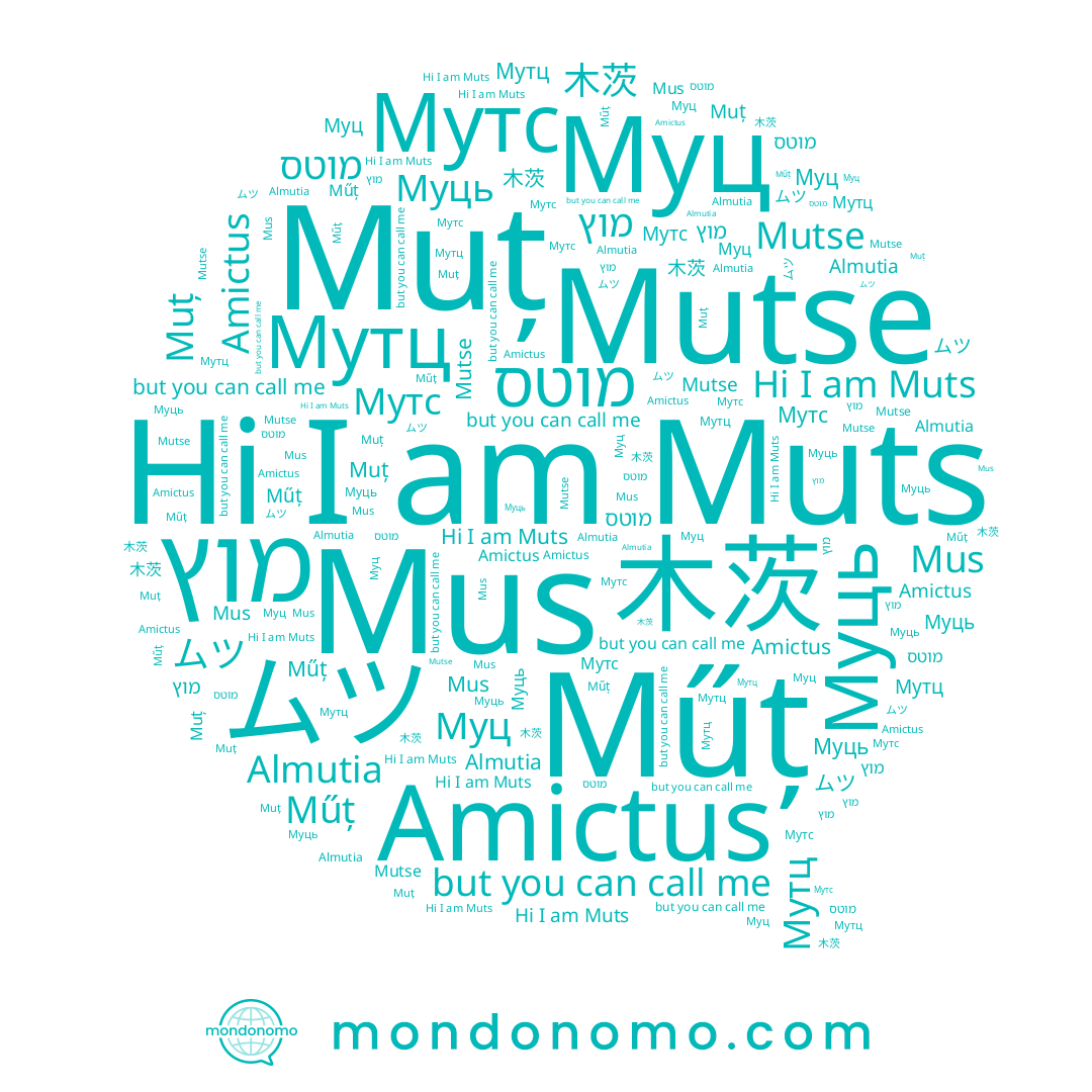 name Mutse, name ムツ, name Муц, name 木茨, name Műț, name Muts, name Amictus, name Mus, name Муць, name Мутц, name Muț, name מוטס, name Мутс, name מוץ