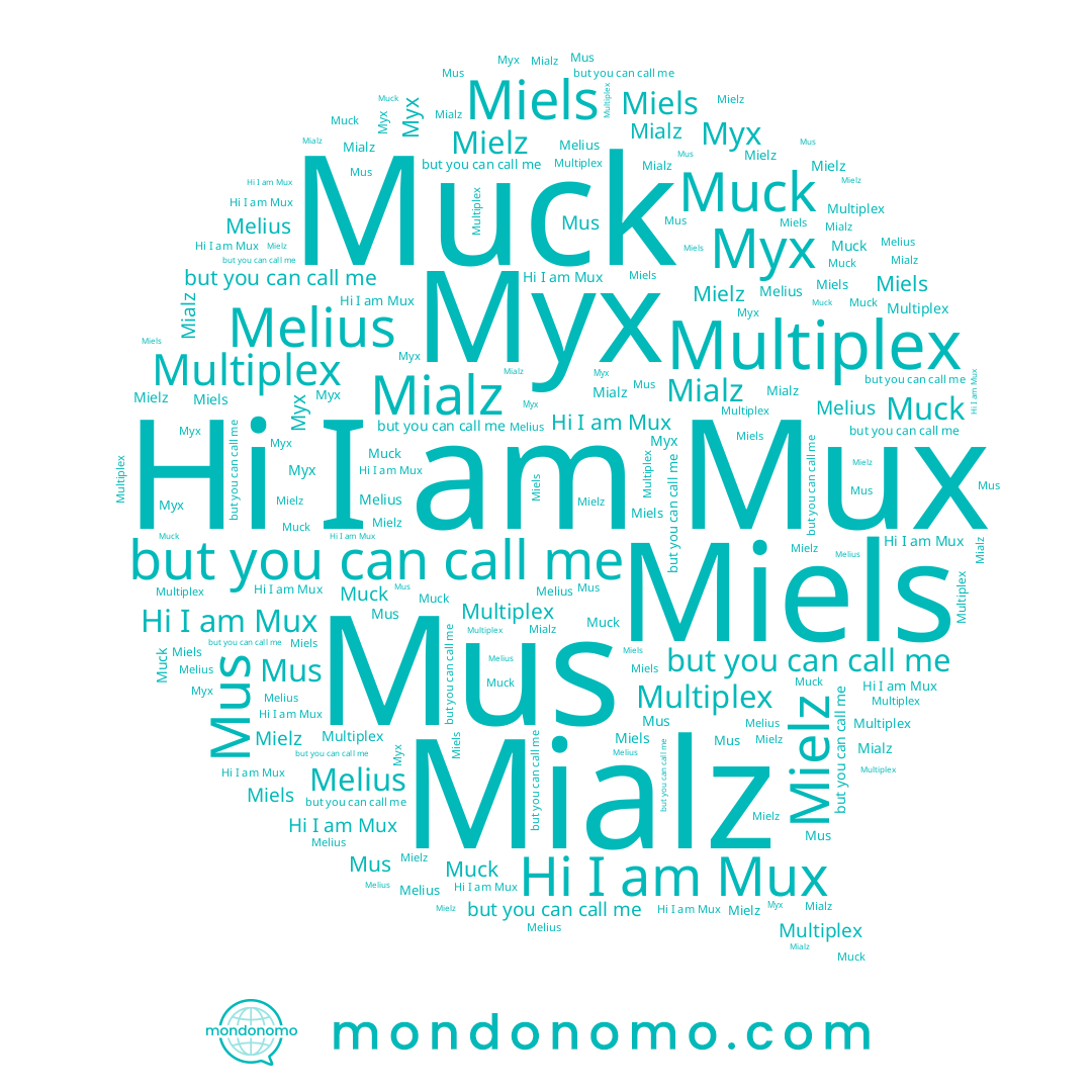 name Mialz, name Muck, name Мух, name Miels, name Mus, name Melius, name Mux, name Mielz