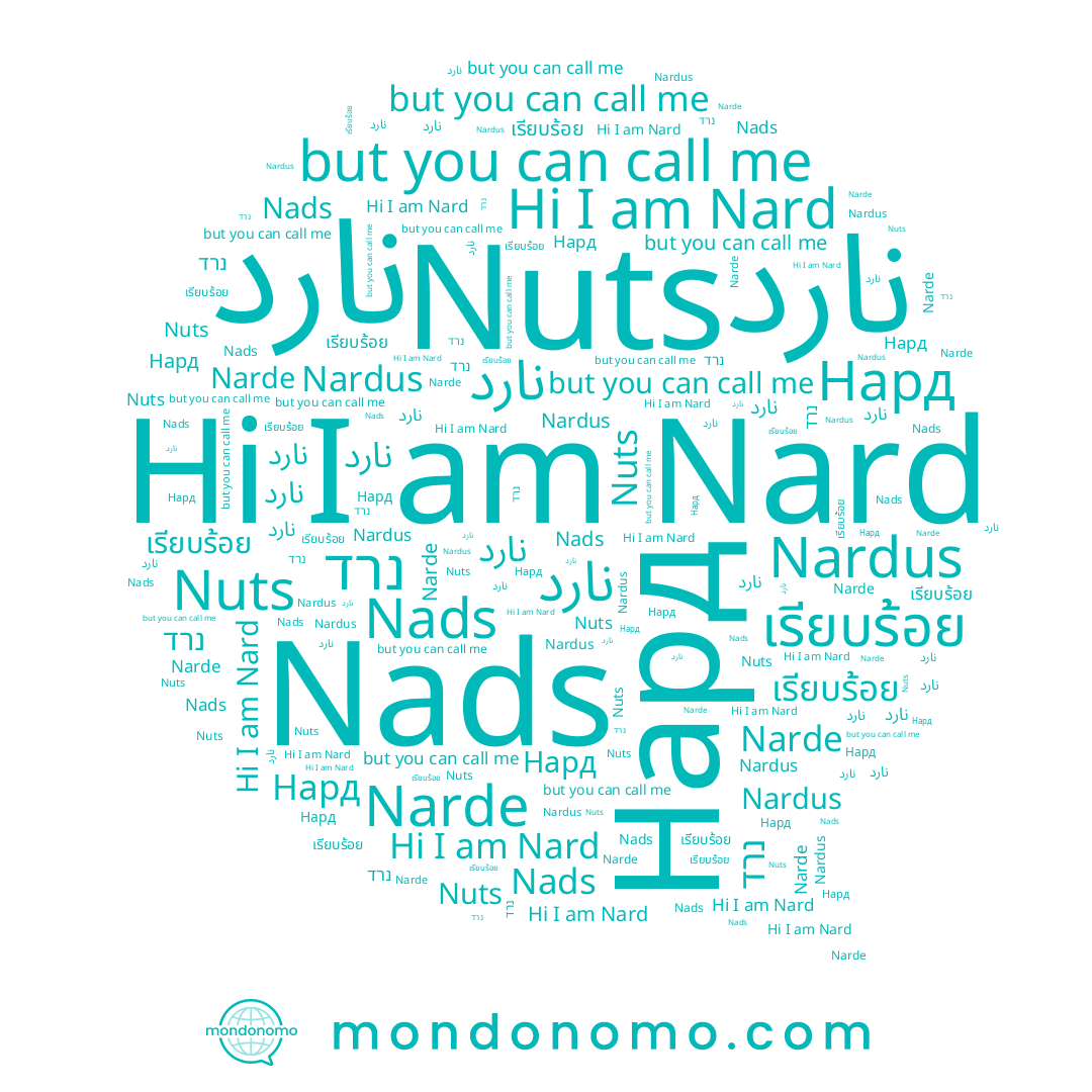name Nardus, name Narde, name Nard, name Nads, name เรียบร้อย, name نارد, name ﻧﺎﺭﺩ, name נרד