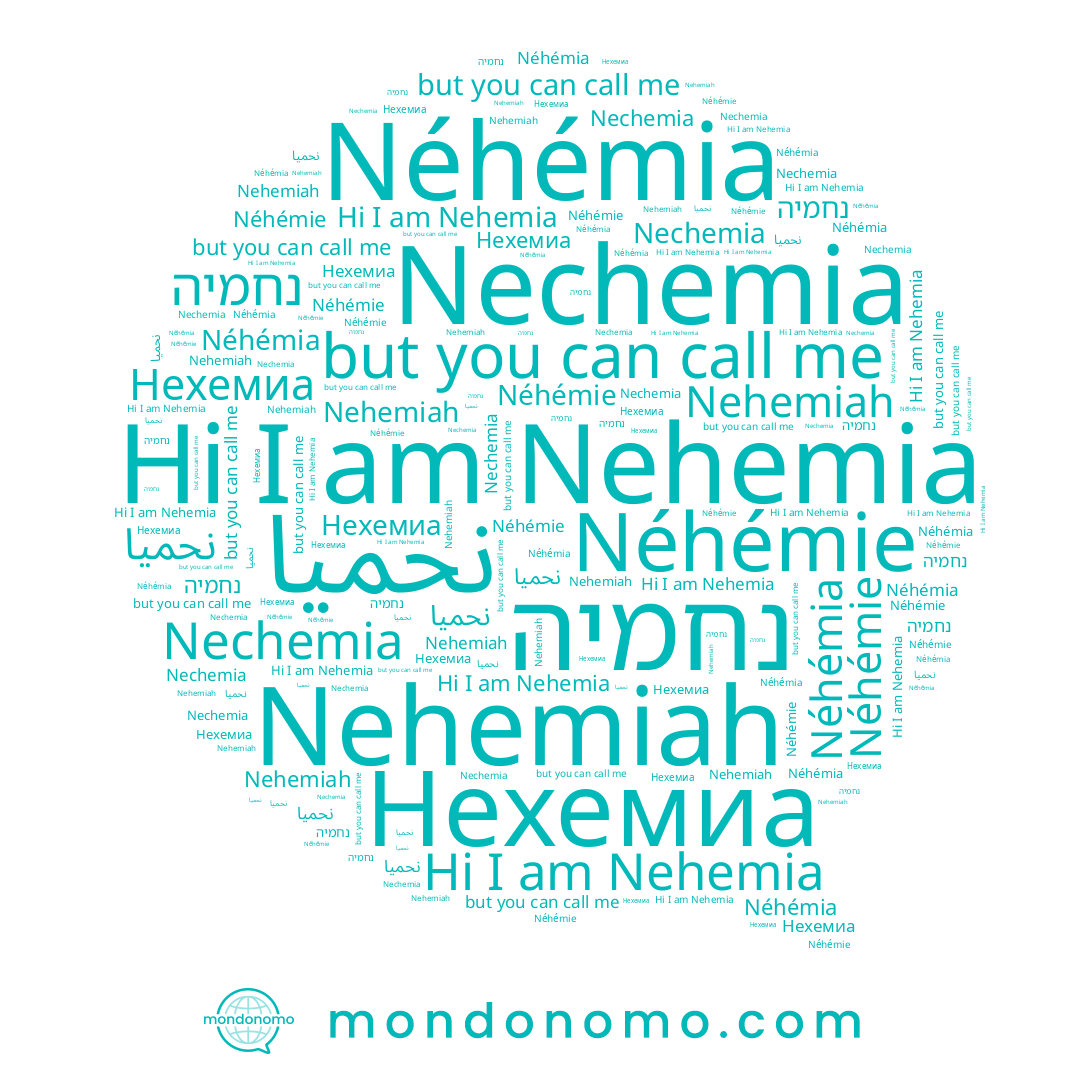 name Nehemiah, name نحميا, name Нехемиа, name נחמיה, name Néhémia, name Nehemia, name Nechemia, name Néhémie