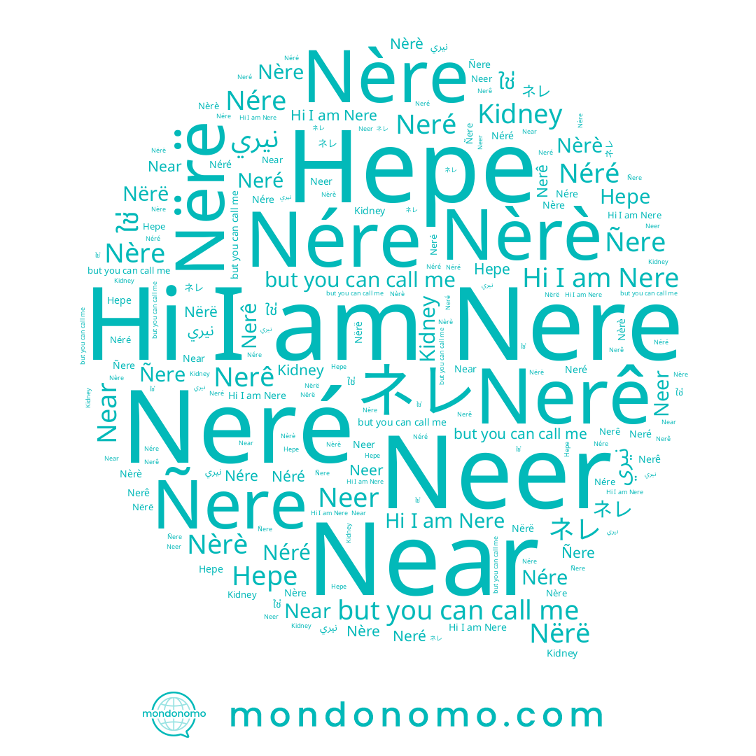 name Neer, name ネレ, name Nére, name Nère, name Neré, name Nërë, name Near, name نيري, name ใช่, name Ñere, name Nèrè, name Nerê, name Nere, name Néré, name Kidney