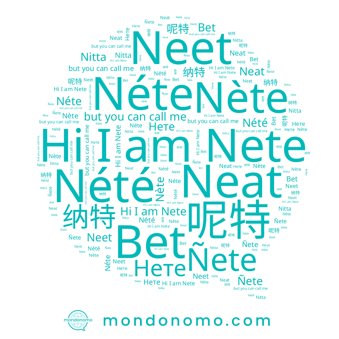 name Nété, name Nete, name Ñete, name 纳特, name Neat, name Нете, name 呢特, name Nète, name Nitta, name Bet, name Néte, name Neet