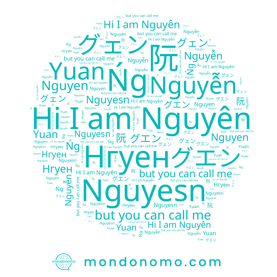 name Yuan, name グエン, name Nguyen, name グェン, name Nguyên, name Nguyễn, name Ńg, name 阮, name Нгуен, name Nguyesn
