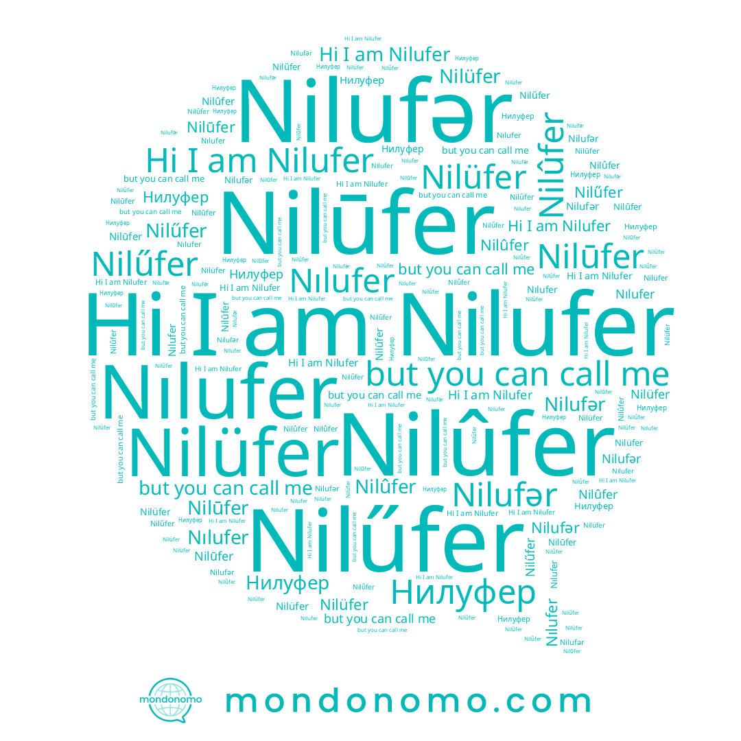 name Nilufer, name Nılufer, name Nilüfer, name Nilufər, name Nilūfer, name Нилуфер, name Nilûfer, name Nilűfer