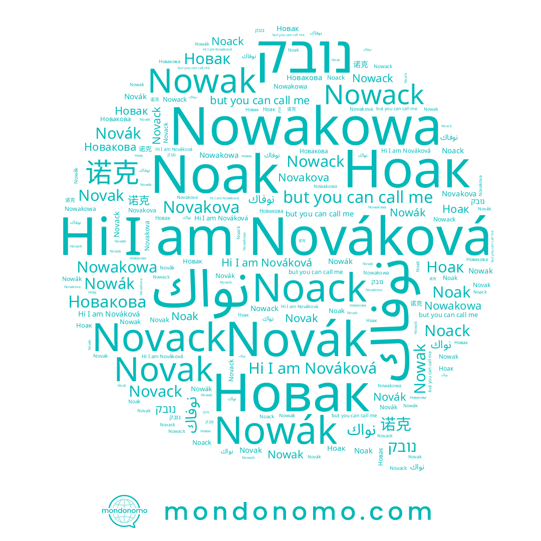 name Noack, name Nowack, name 诺克, name Noak, name Novakova, name Novak, name Nowakowa, name Novack, name Ноак, name נובק, name نواك, name Новакова, name Новак, name نوفاك, name Nováková, name Nowák, name Nowak, name Novák