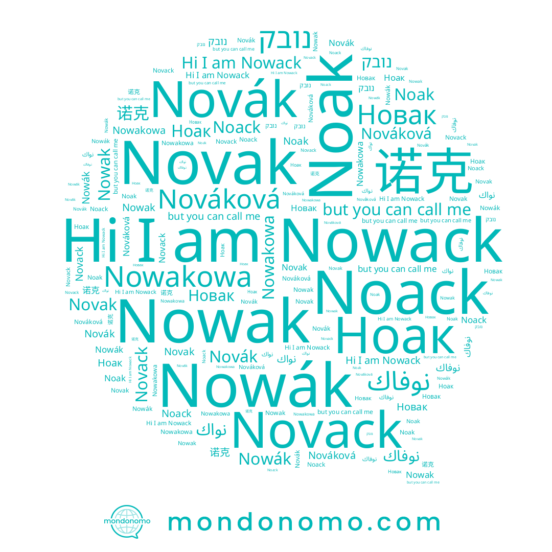 name Noack, name Nowack, name 诺克, name Noak, name Novak, name Nowakowa, name Novack, name Ноак, name נובק, name Новак, name Nováková, name نوفاك, name Nowák, name Nowak, name Novák
