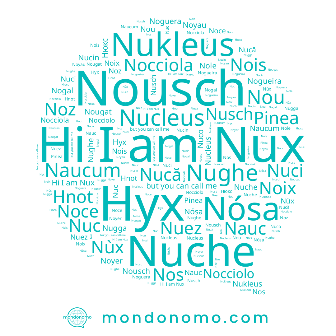 name Nuez, name Нюкс, name Nux, name Noyer, name Nucă, name Nogueira, name Nos, name Noguera, name Nùx, name Nocciolo, name Nuci, name Nauc, name Nósa, name Nois, name Pinea, name Nogal, name Noyau, name Nughe, name Naucum, name Nugga, name Noz, name Nucin, name Нух, name Hnot, name Nuche, name Nusch, name Nousch, name Noce, name Nole