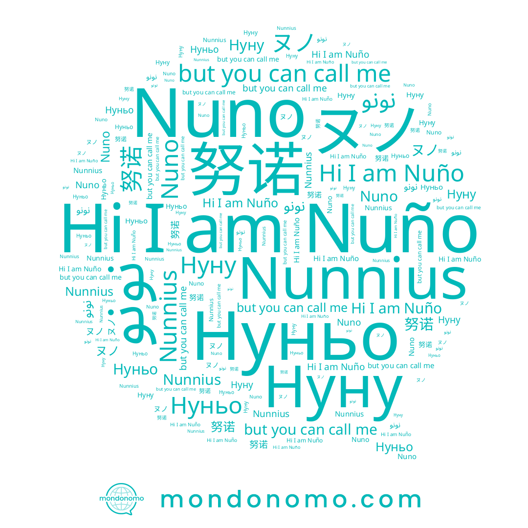 name 努诺, name ヌノ, name Нуну, name نونو, name Нуньо, name Nuno, name Nuño, name Nunnius