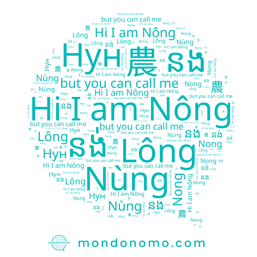 name នង់, name នង, name Lông, name Nong, name Nùng, name 農, name Nông, name Нун